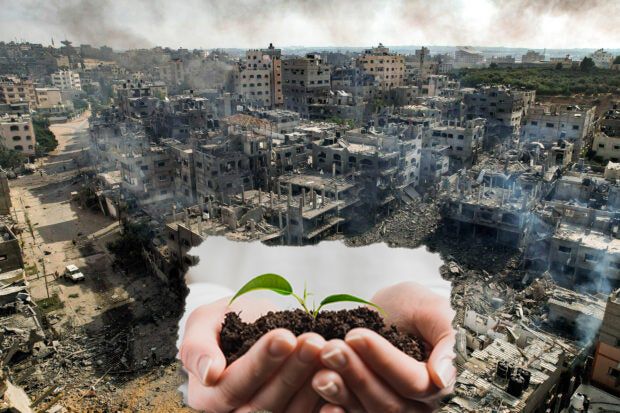 معالجة تلوث التربة ودورها في إعادة الإعمار بعد الحرب